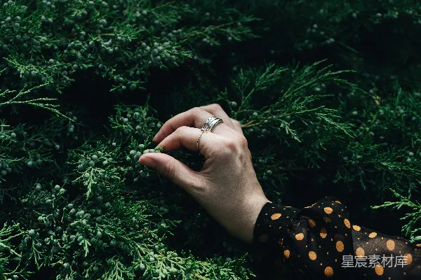 一个人伸手去拿植物上的戒指
