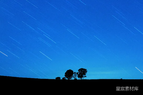 满天星空与一棵树的夜晚景象