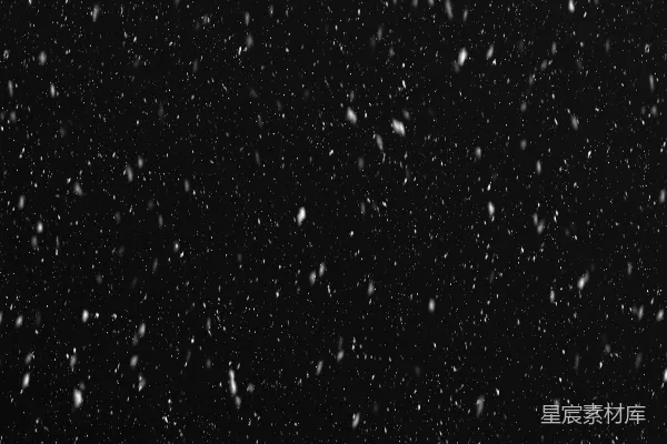 黑白照片上的雪花落下