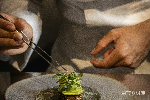高清摄影 厨师用新鲜绿叶装饰一个小盘子。