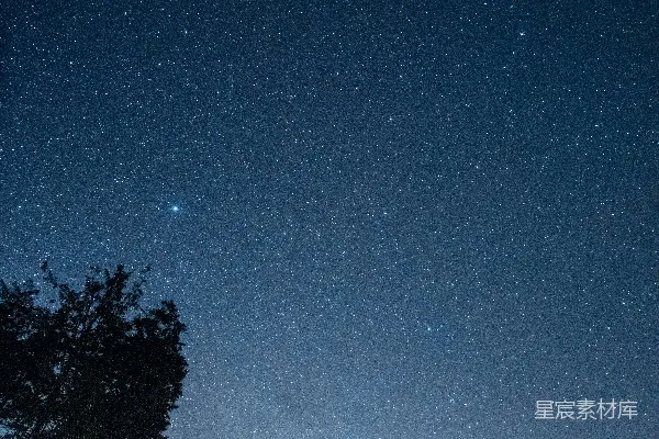 夜空中树木的轮廓图象