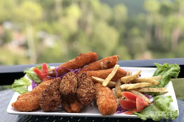 高清摄影 美味的油炸食物放在盘子里。