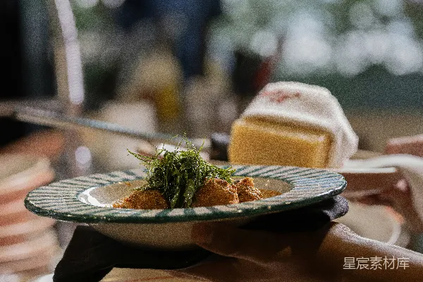 高清摄影 一道美味佳肴端上 plates，配有装饰。