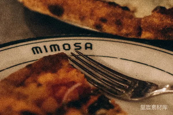 高清摄影 不锈钢餐 Fork 在 白色陶瓷盘中