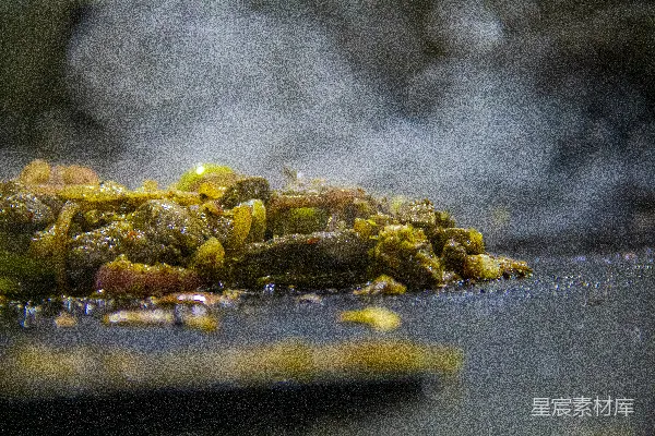 高清摄影 棕色木质桌上的棕色和黄色食物