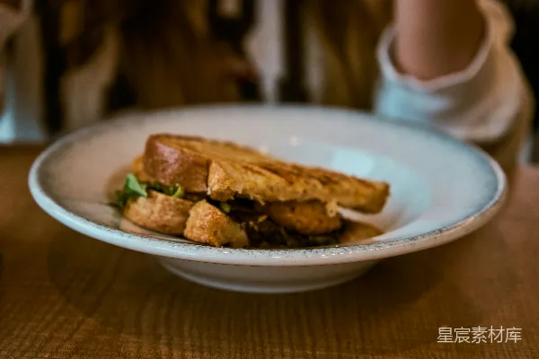 高清摄影 一块金黄的烤三明治和一盘油炸食品。