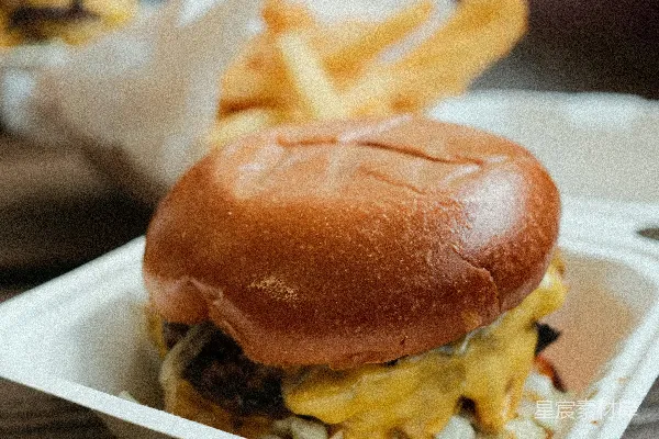 高清摄影 芝士汉堡配 melted cheese 和 onions，配以炸薯条。