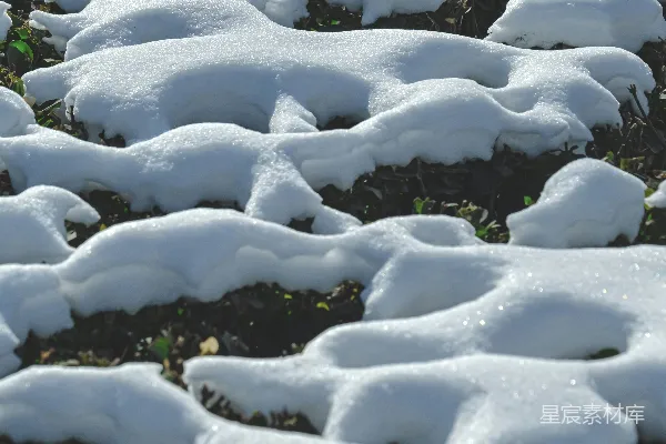 一片覆盖着白雪的田野旁边是一片森林
