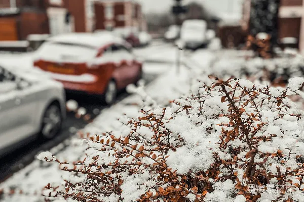 一条被汽车和房屋覆盖着白雪的小街