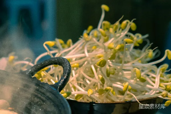 高清摄影 黑圆盆中白黄花朵