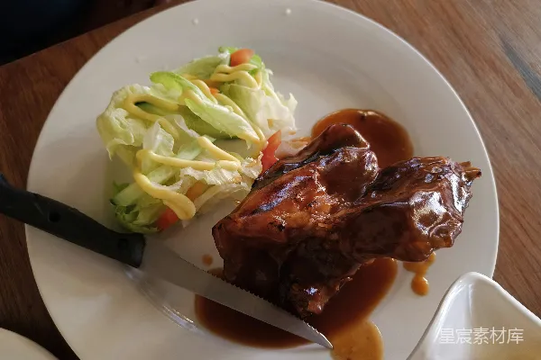 高清摄影 一块白色的盘子上覆盖着肉，上面撒满了酱汁。