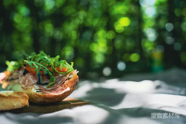 高清摄影 gourmet三明治配 prosciutto 和 arugula，放在野餐毯上。
