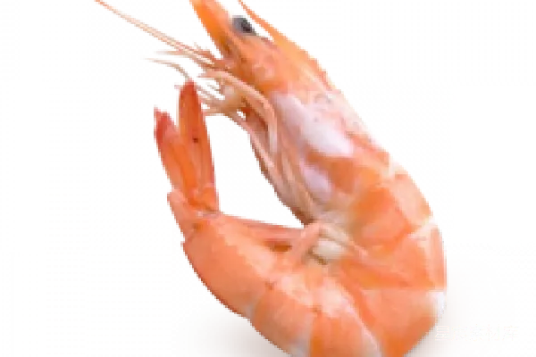 元素素材 虾