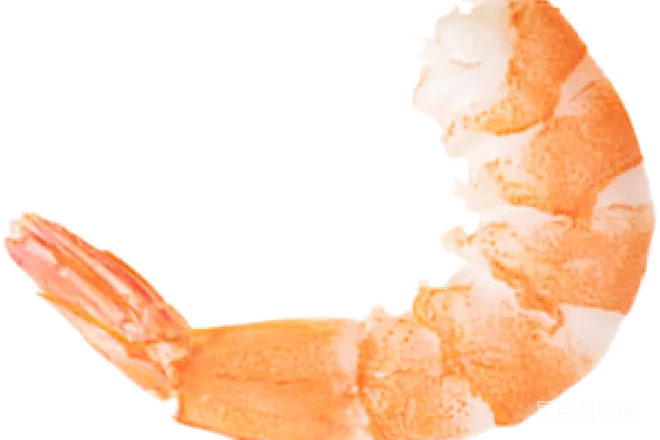 元素素材 虾