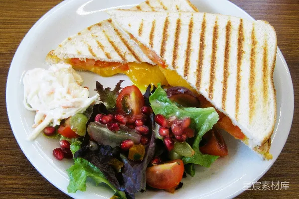 高清摄影 白盘中 grilled sandwich、沙拉和coleslaw。