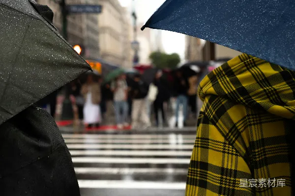 几人撑伞站在雨中