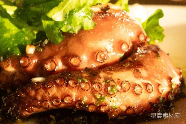 高清摄影 烤章鱼tentacles配新鲜绿色香草