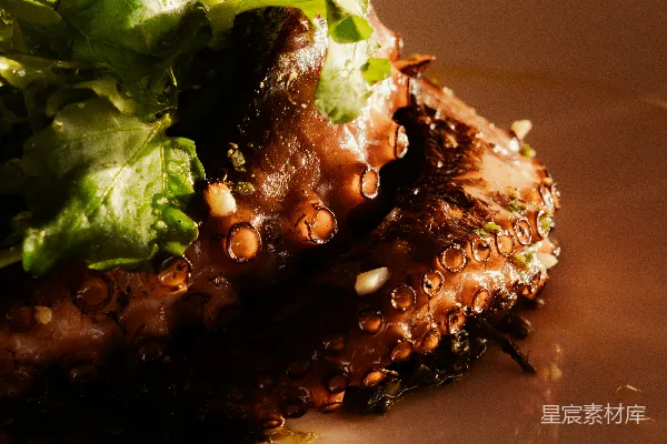 高清摄影 一份用新鲜香草烹制的烤墨鱼菜肴