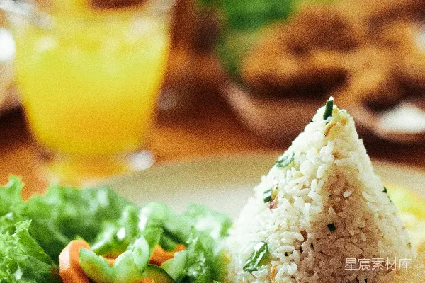 高清摄影 一块白 plate 上堆满了肉和米饭