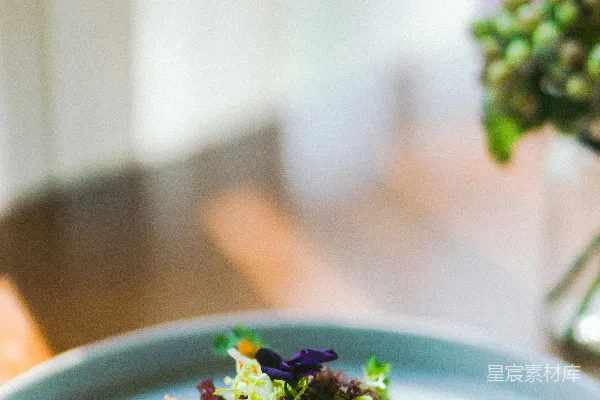 高清摄影 绿色和黄色的蔬菜沙拉放在白色的陶瓷盘中