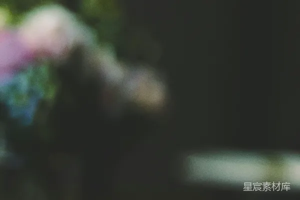 高清摄影 倾斜失真镜头下的粉红花朵