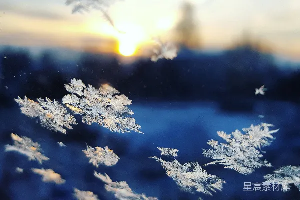 高清摄影 雪花的特写照片