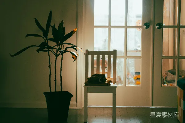 高清摄影 一只猫坐在门前的长凳上