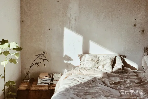 高清摄影 床边的绿叶植物