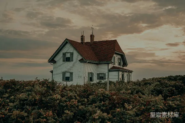高清摄影 白宫坐落在一片绿草如茵的田野之上