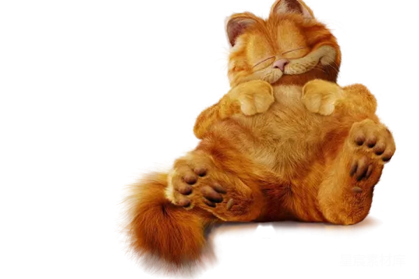 加菲猫