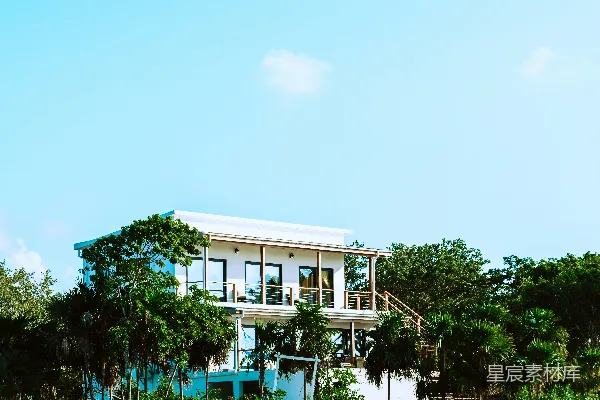 高清摄影 白天近绿色树木和水体的白色混凝土建筑