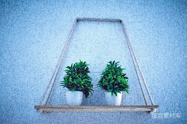 高清摄影 两盆植物放在架子上。