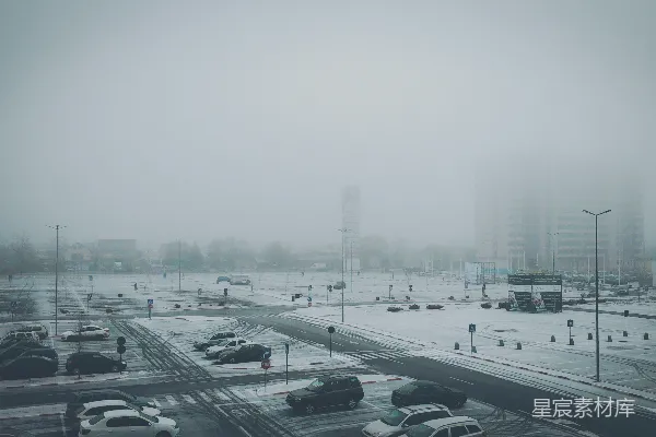 路面上白天的车辆