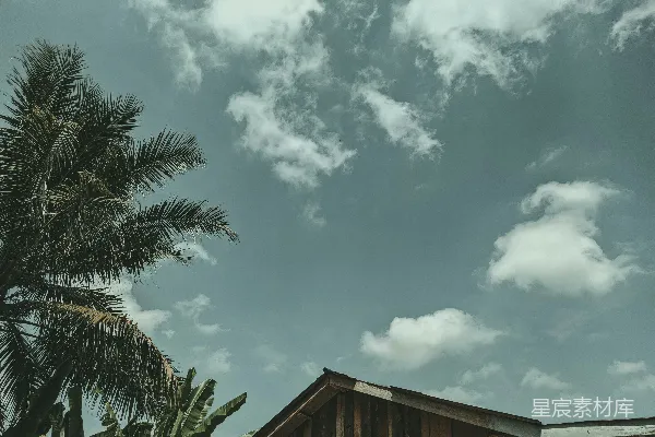 高清摄影 一座有棕榈树和蓝天的建筑
