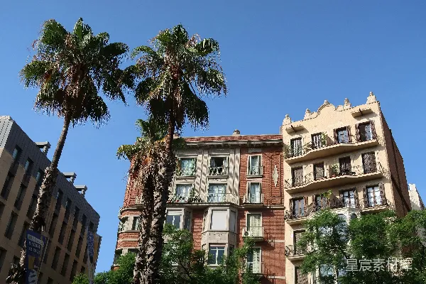 高清摄影 棕榈树和古老建筑在清澈的蓝天背景下。