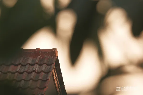 高清摄影 微型瓷砖屋顶，背景模糊，光线温暖而斑驳。