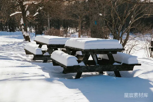 公园里一组覆盖着积雪的长凳
