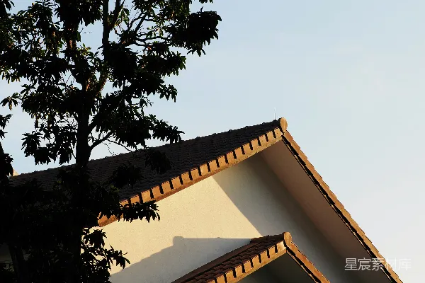 高清摄影 现代建筑与树木及晴朗的天空