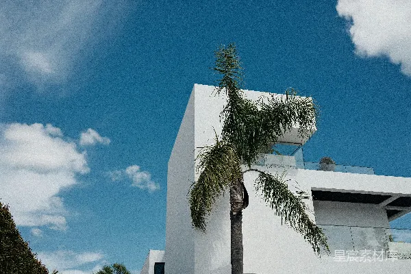 高清摄影 现代的白色建筑，有棕榈树和蓝天