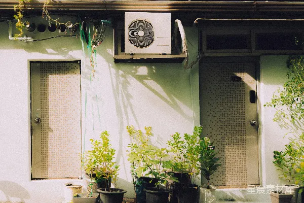 高清摄影 建筑物门口外的盆栽植物。