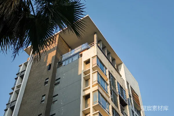 高清摄影 现代建筑与蓝天下的棕榈叶