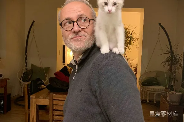 高清摄影 一只小猫坐在一个男人的肩膀上