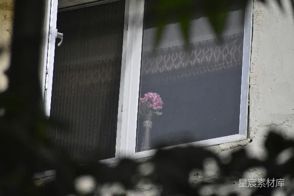 高清摄影 花瓶中的粉红色花朵摆放在窗台上。