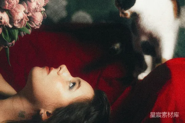 高清摄影 拿着花的女人看着红色沙发上的一只猫。