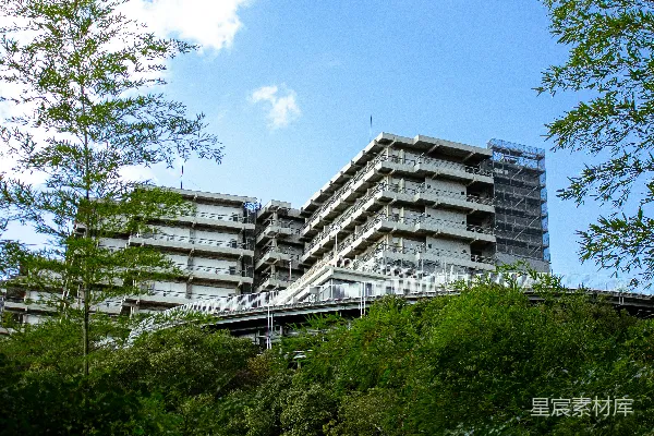 高清摄影 蓝天下的绿树后方是现代化的建筑。