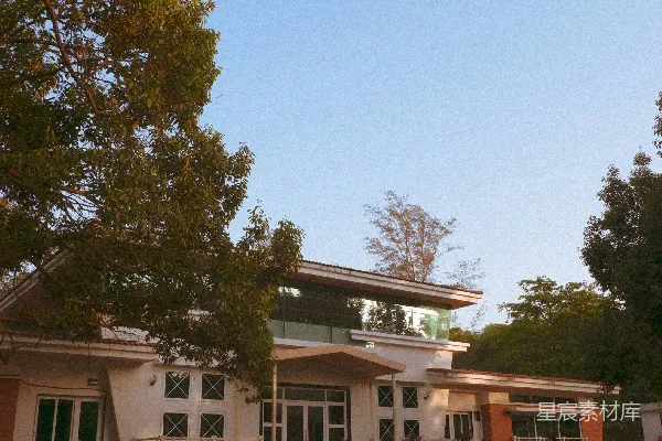 高清摄影 现代的白色建筑，带有大窗户和树木。