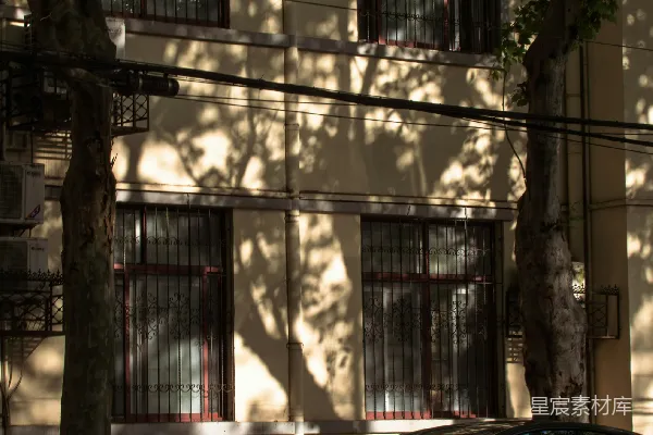 高清摄影 一辆黑色汽车停在建筑物附近，周围有树木的阴影。