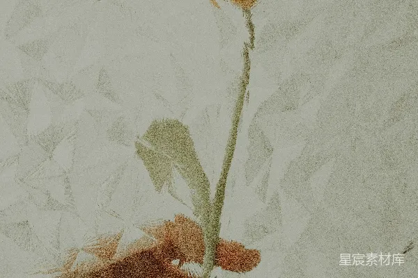 高清摄影 一幅画中有一只手拿着一朵花。