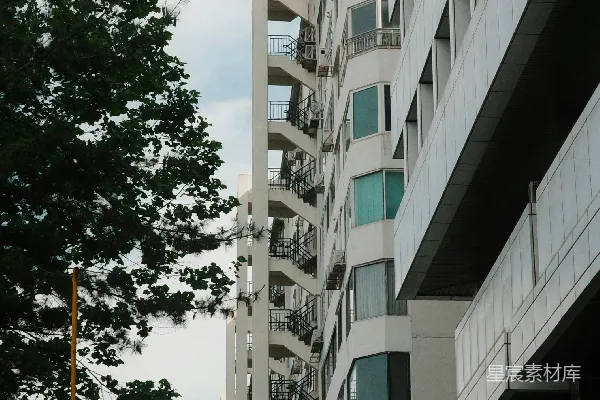 高清摄影 现代化的白色建筑，有许多窗户，旁边有一棵绿树。