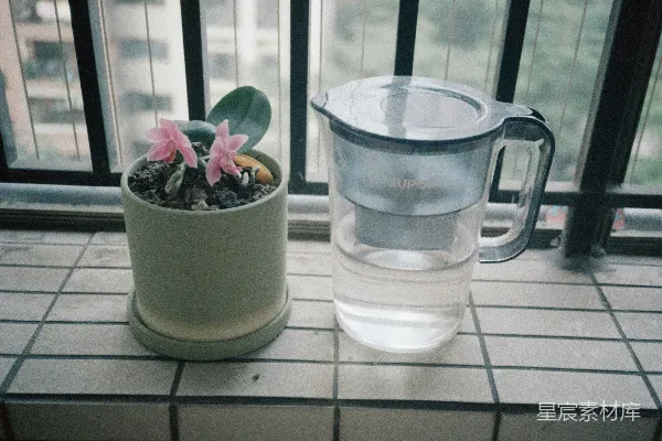 高清摄影 粉红色的开花植物和水滴状的容器放在瓷砖窗台上。